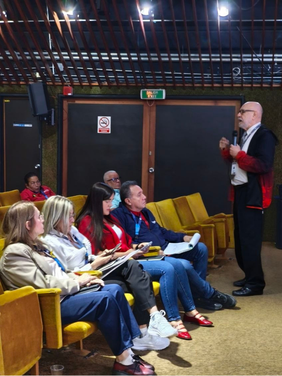 CURSO: HALLAZGOS DE AUDITORÍA. INCANAL